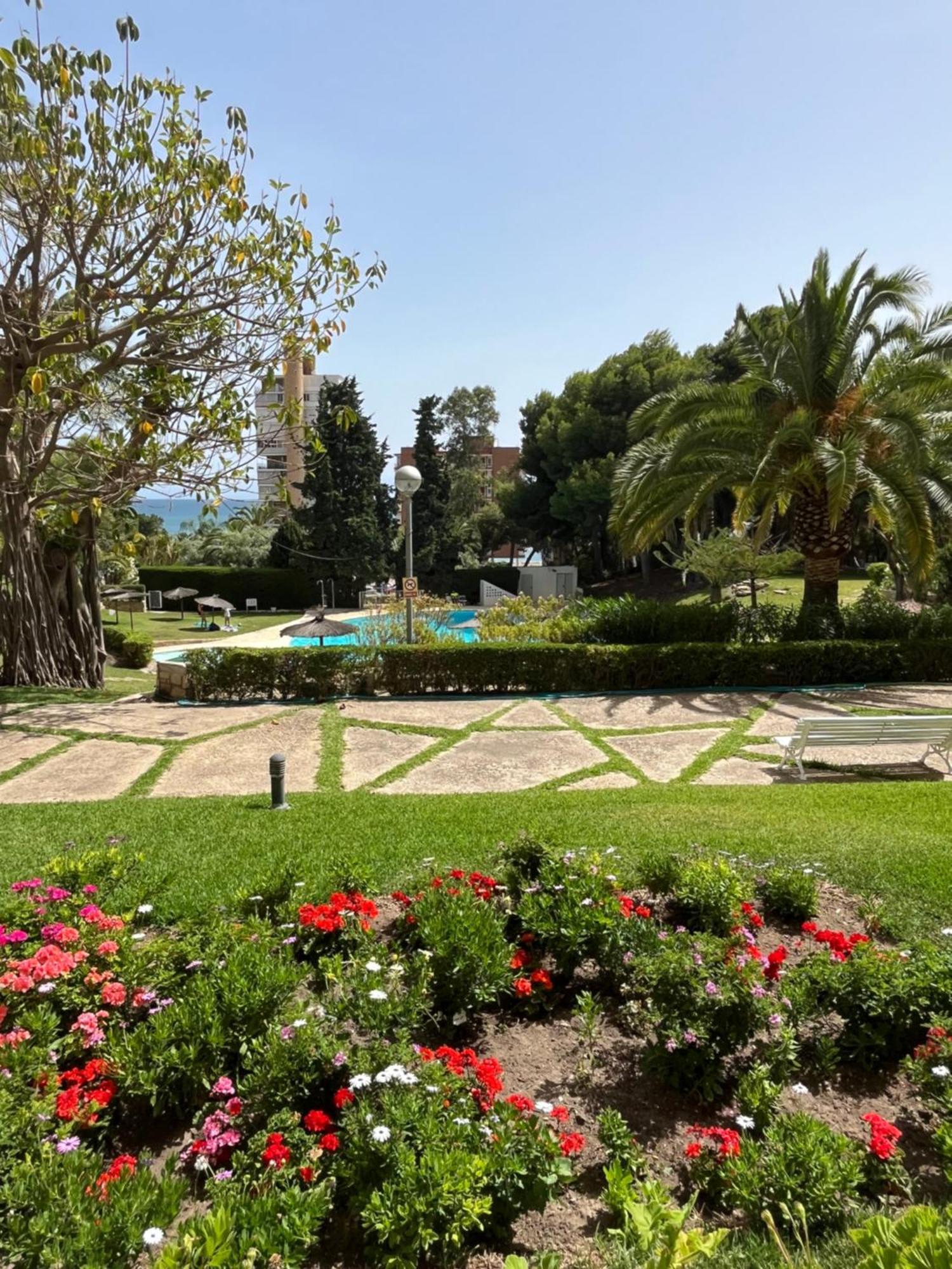Parque La Chicharra Near Alicante And Beach 外观 照片