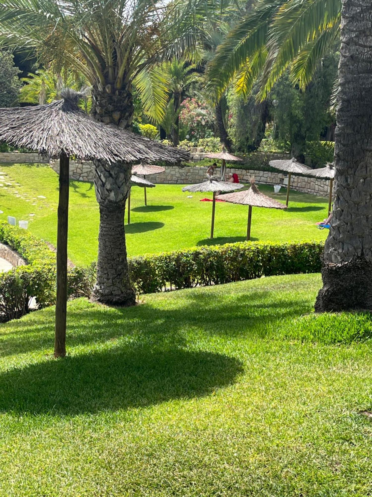 Parque La Chicharra Near Alicante And Beach 外观 照片