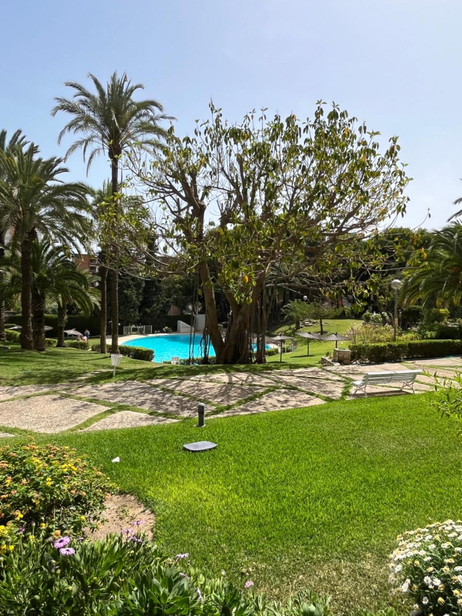Parque La Chicharra Near Alicante And Beach 外观 照片